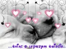 SWEET DREAM