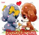FRIENDSHIP
