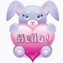 hello bunny