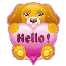 Hello Dog