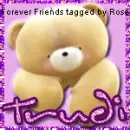 Trudi