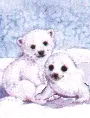 bear 30