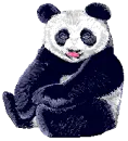 bear blink