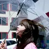t-ara