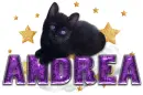 Andrea cute cat