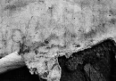 decay