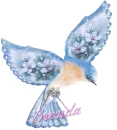 Brenda blue bird