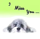 I miss you