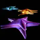 stars