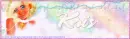 Delicate Angel Forum banner