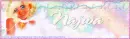 Delicate Angel Forum banner