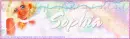 Delicate Angel Forum banner