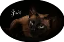 Judi