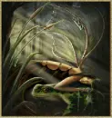 Goth Faerie with Frog