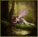 Pink Wings