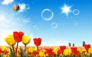 Beautiful Field tulipanes