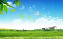 Beautiful Landscape