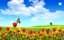 Beautiful Field tulipanes
