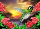hummingbird