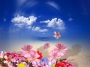 Flowers and sky