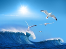 Freedom