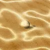 Sands