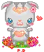 gray cat
