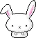 white bunny