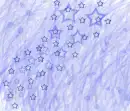 stars