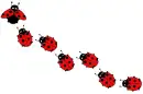 Ladybugs