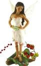 Ladybug Fairy