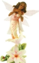 Flower Fairy