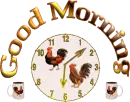 GOOD MORNING