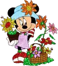 minnie 