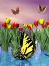 MARIPOSAS Y TULIPANES