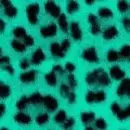 aminal print :P