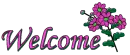 Welcome Purple