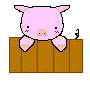 piggy