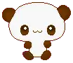 panda bear