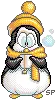 crazy penguin