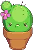 angry cactus