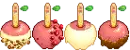 candied apples