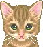 meOw meOw