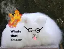 On fire