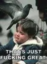 bird poop