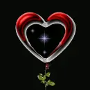 Miss You
