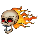 skull