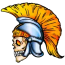 skull