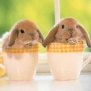 Cute boy