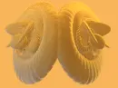 Spirals